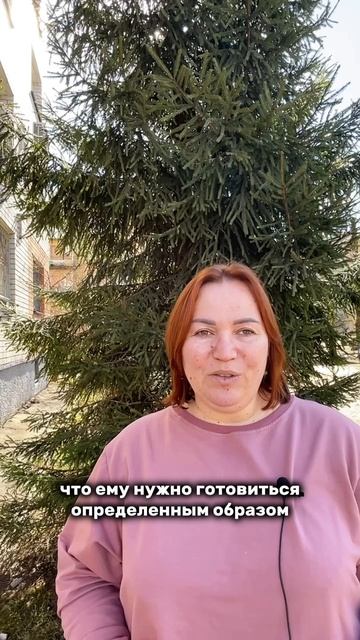 Схема подготовки к ОГЭ