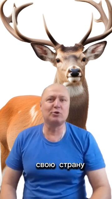 Анекдот про Оленя!