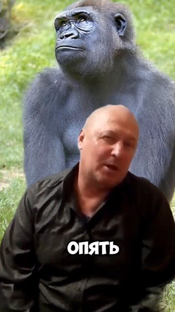 Арсен! Это ты?
