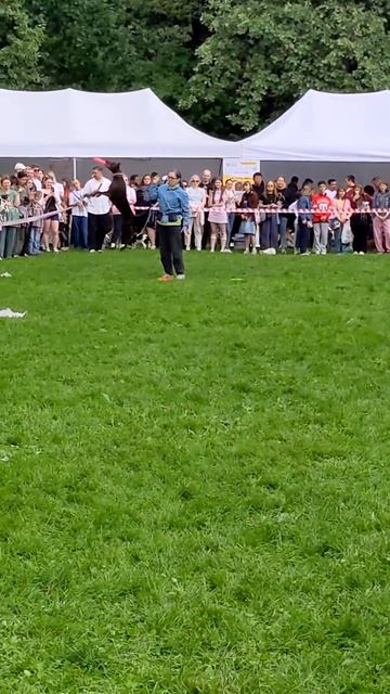 Спортивный Метис Нэтта - выступление на #собакидрузьяичеловеки