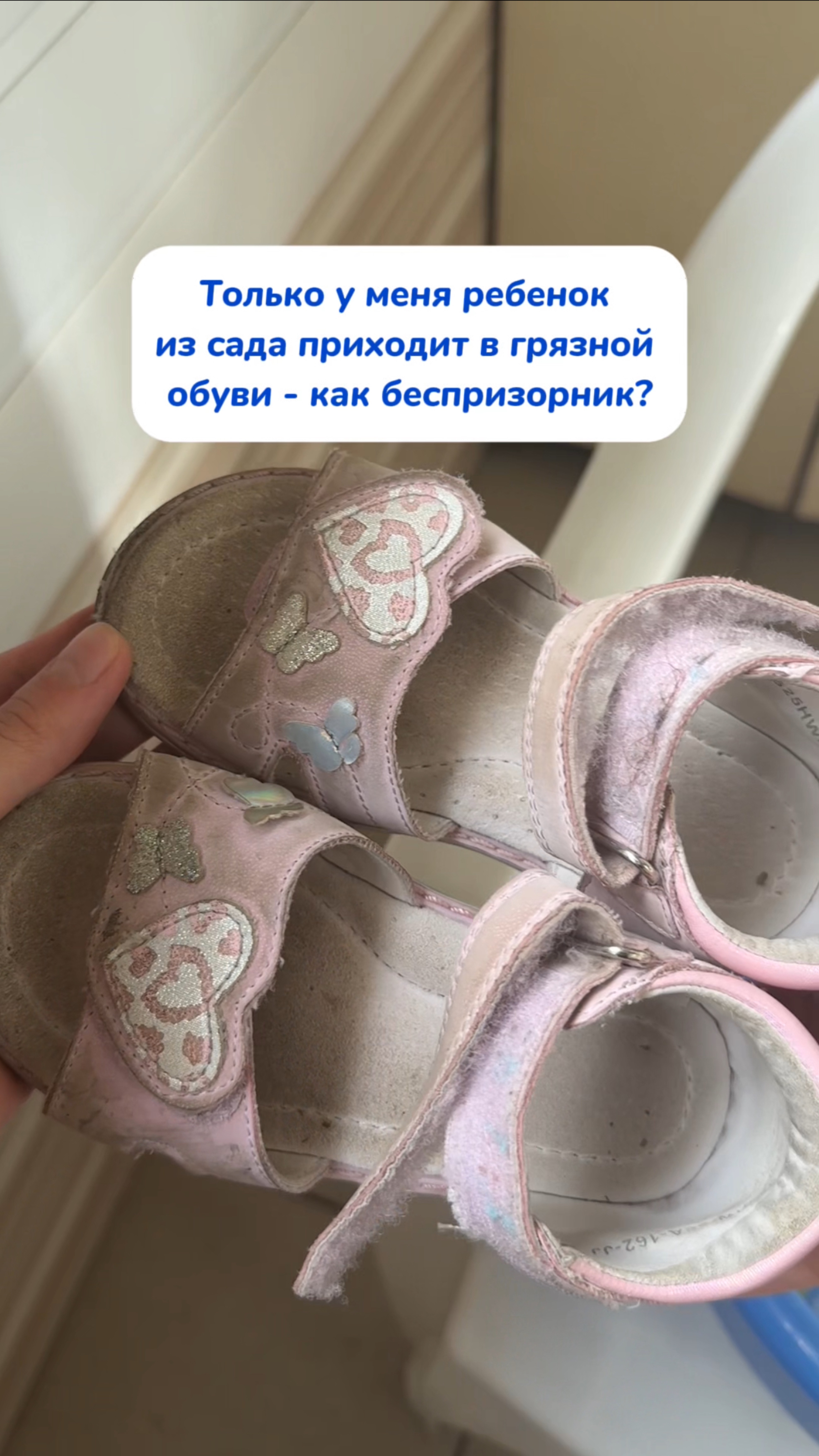 База моя