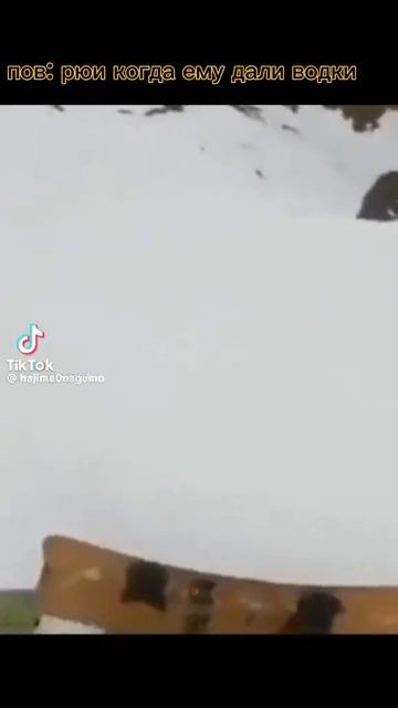 #гача2. рюи дали водки.