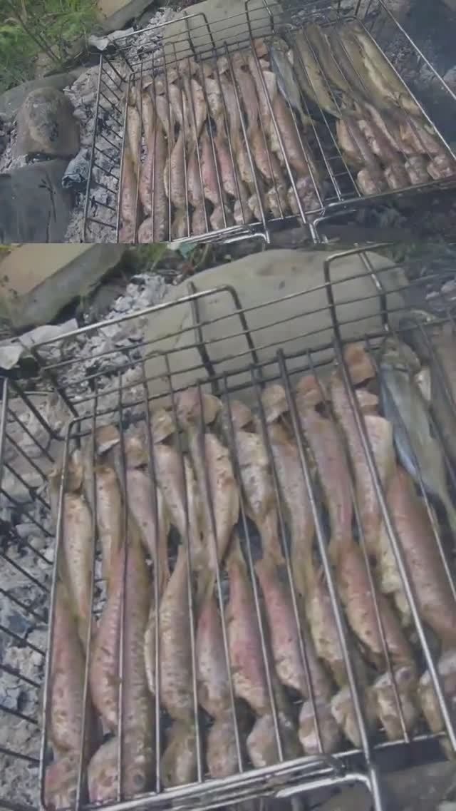 барабуля черноморская жаренная на углях в горах прикольно #whynot72  #еда #food #рыба #лето #сочи