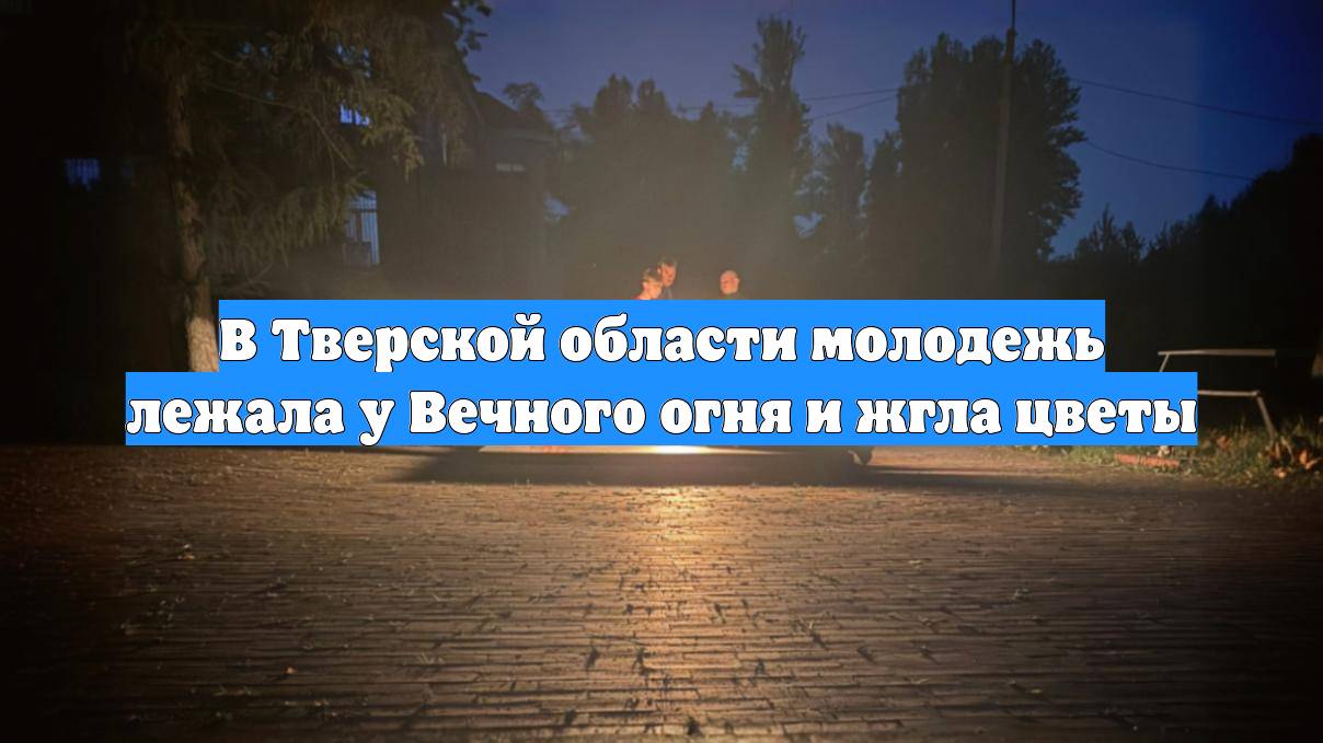 В Тверской области молодежь лежала у Вечного огня и жгла цветы