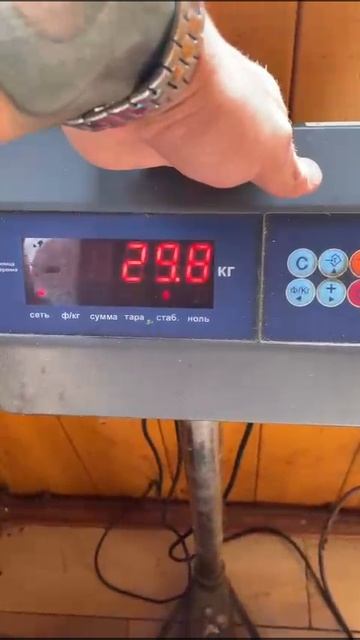 16-07-2025