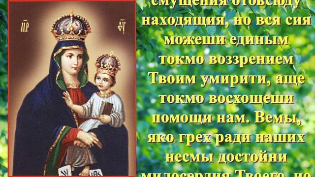 Молитва Барской иконе Пресвятой Богородицы