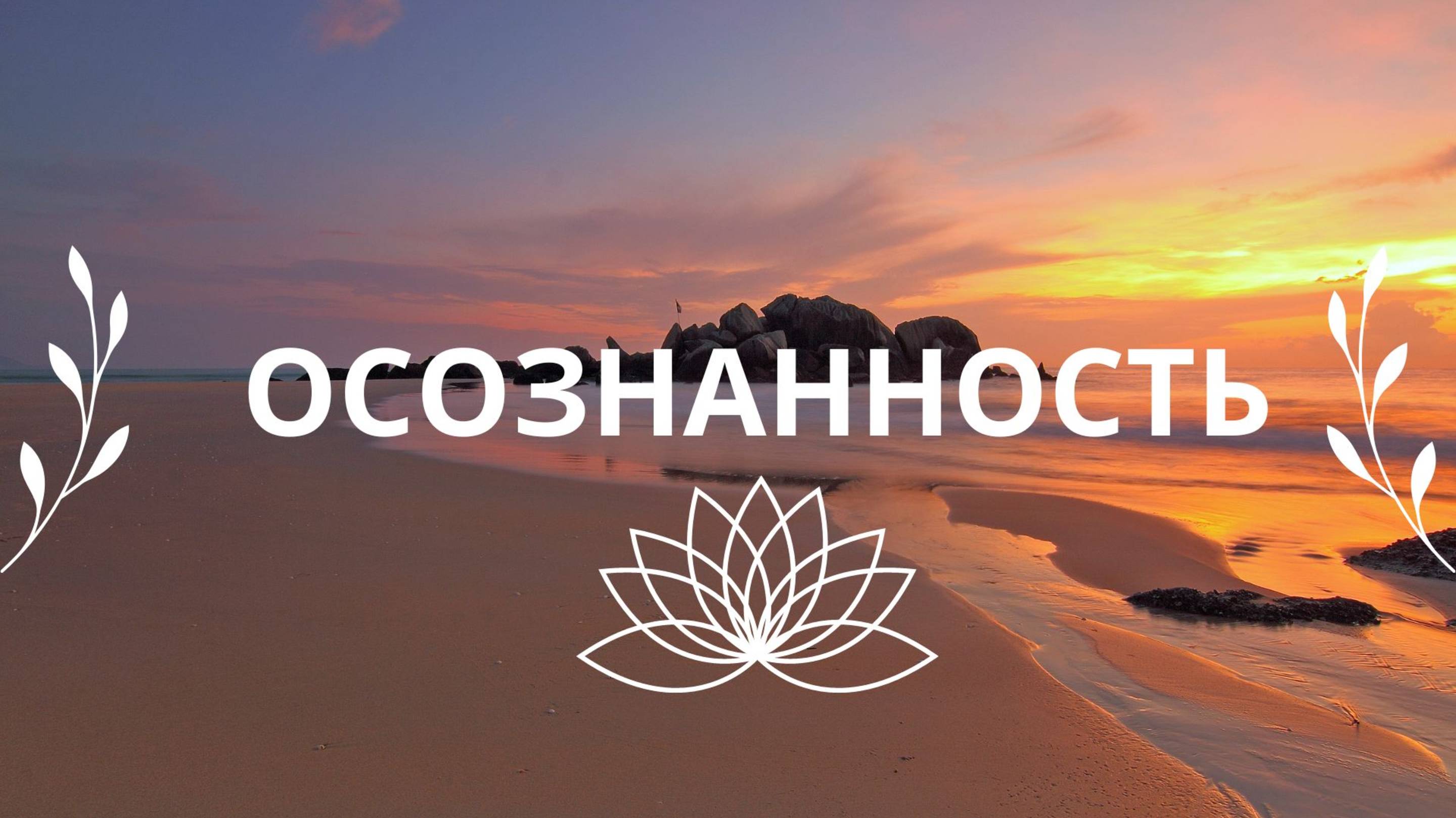 МЕДИТАЦИЯ ОСОЗНАННОСТЬ