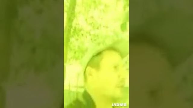 УДАЛЯТЬ. PROPHET.  SHCHERBAKOV. ЩЕРБАКОВ АРТЕМ.vidma_20250716_121843_1