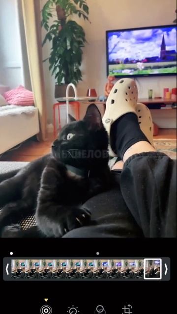 Ничего лучше, Вы сегодня, не увидите.