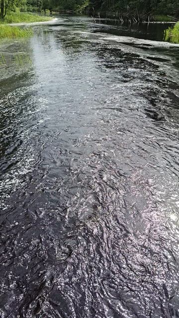 Карелия. Водопад Порог Нижний Койриноя. Karelia. Waterfall Porog Nizhniy Koirinoya