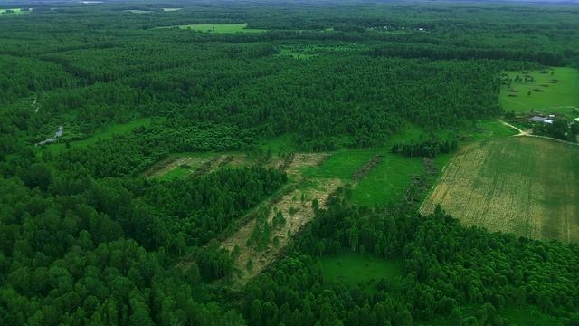 САМОЕ КРАСИВОЕ МЕСТО СИЛЫ для МЕНЯ