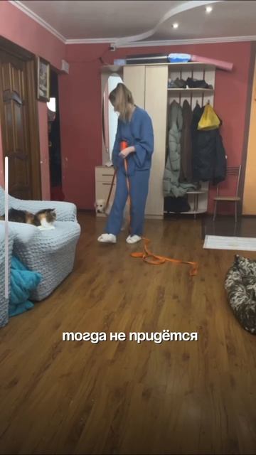 ❗️❗️Первая прогулка для щенка - это всегда стресс.