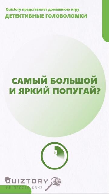 Угадай что! 220 серия быстрых расследований от Квиза Детективные Головоломки #quiztory #квиз #shorts