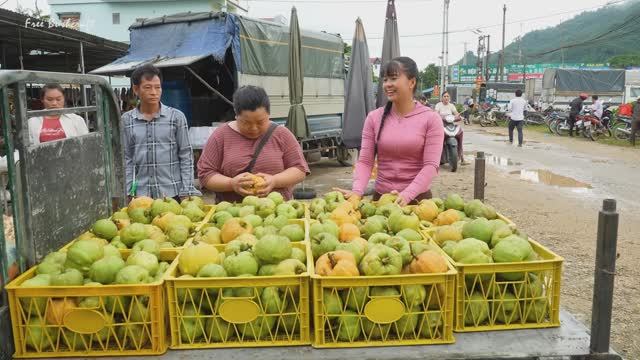 Climb Tall Tree To Pick A Lot Of Sour Fruit Goes To Countryside Market Sell For Villager.