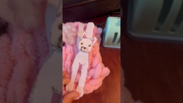 Новый питомец 🐺➕🐶