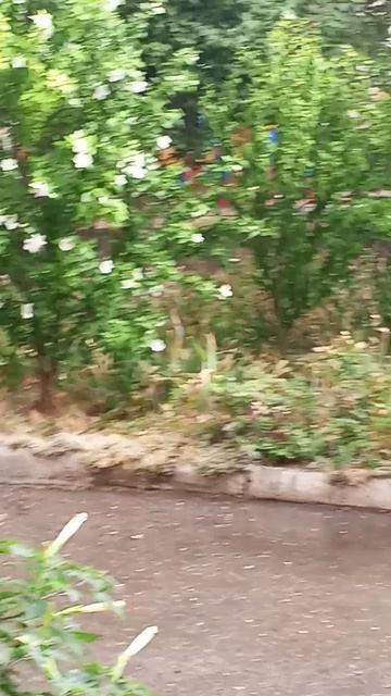 Дождь ,гром и красота 🌴🌴🌴