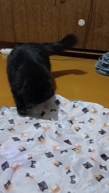 Интерактивная игрушка для кота