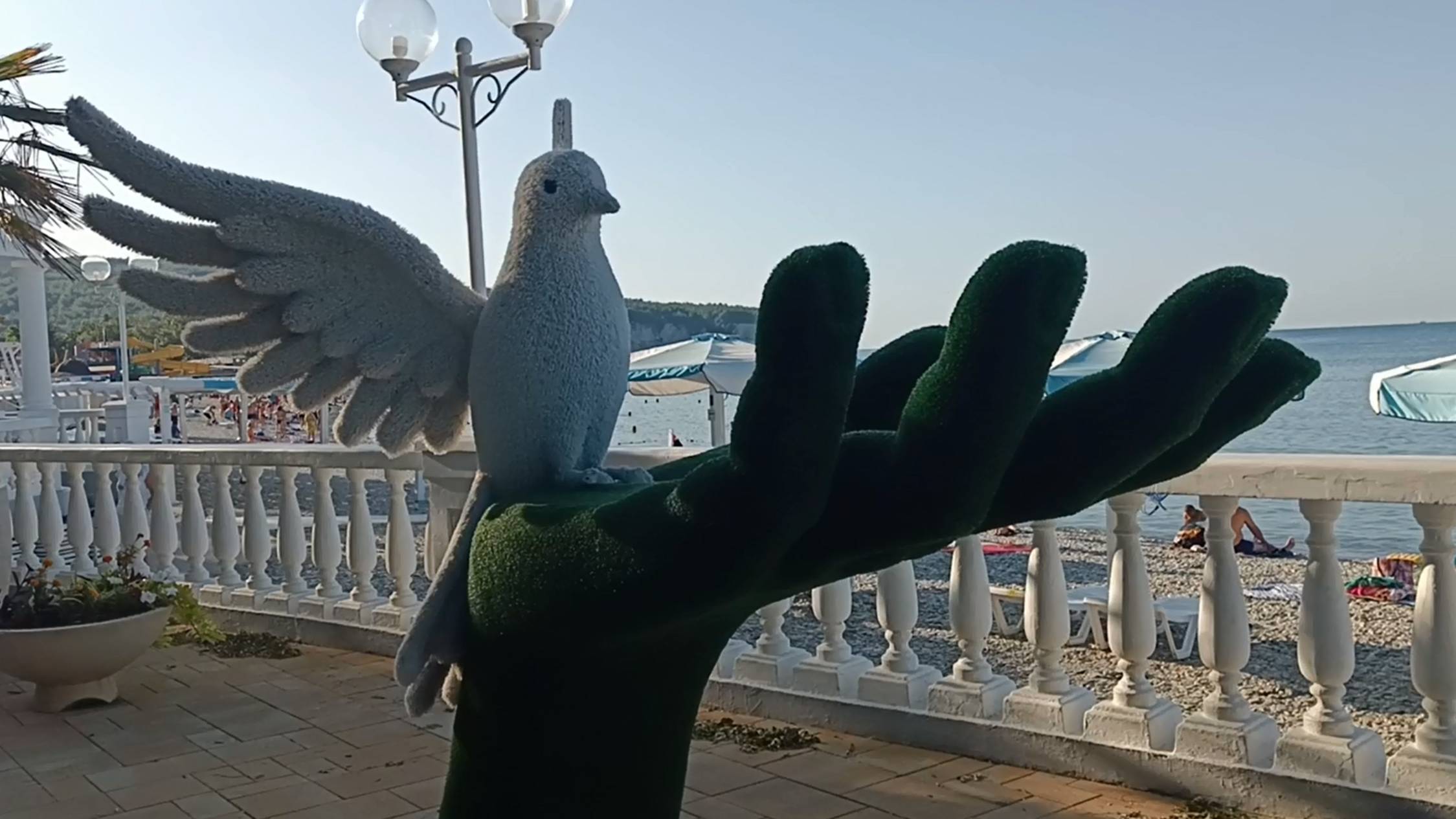 Голубь Мира.
