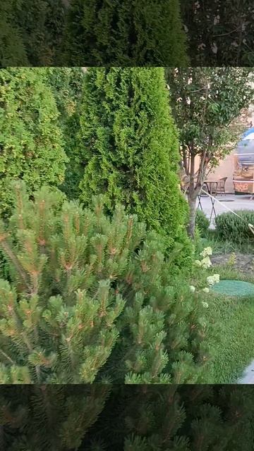 Потрясающий храмовый комплекс в Новом Херсонесе.