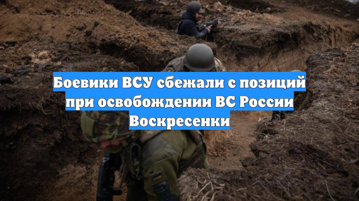 Боевики ВСУ сбежали с позиций при освобождении ВС России Воскресенки