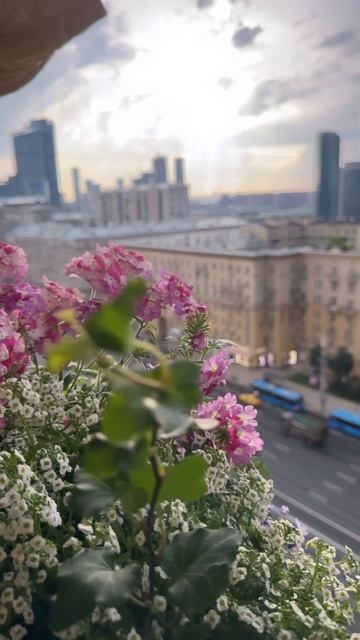 Оформление балконов и террас живыми цветами от FlorGazm