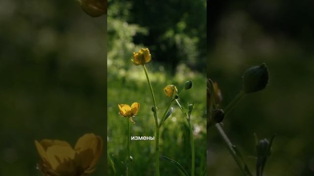 А может быть я из другого века...