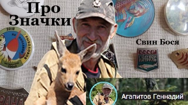 Свин Бося . Про Значки...