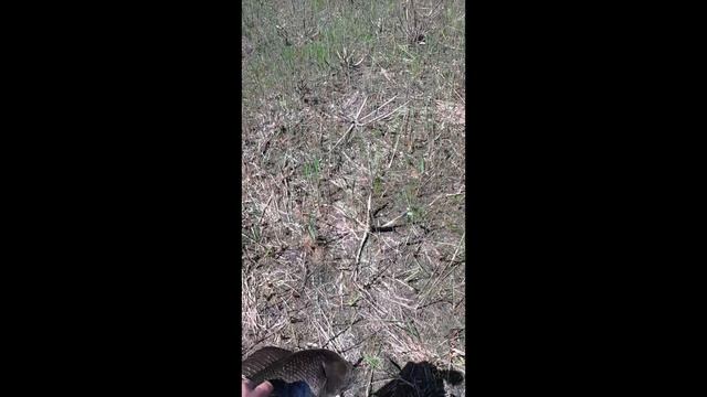 1000109576.mp4