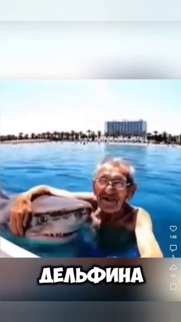 Дедуля повстречал "дельфина" в море 😁🦈