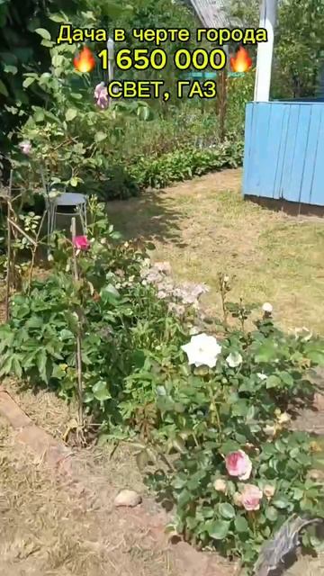 Дача в черте города.