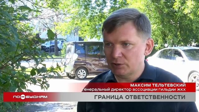 Рухнувшее во время непогоды дерево повредило сразу два автомобиля в Иркутске