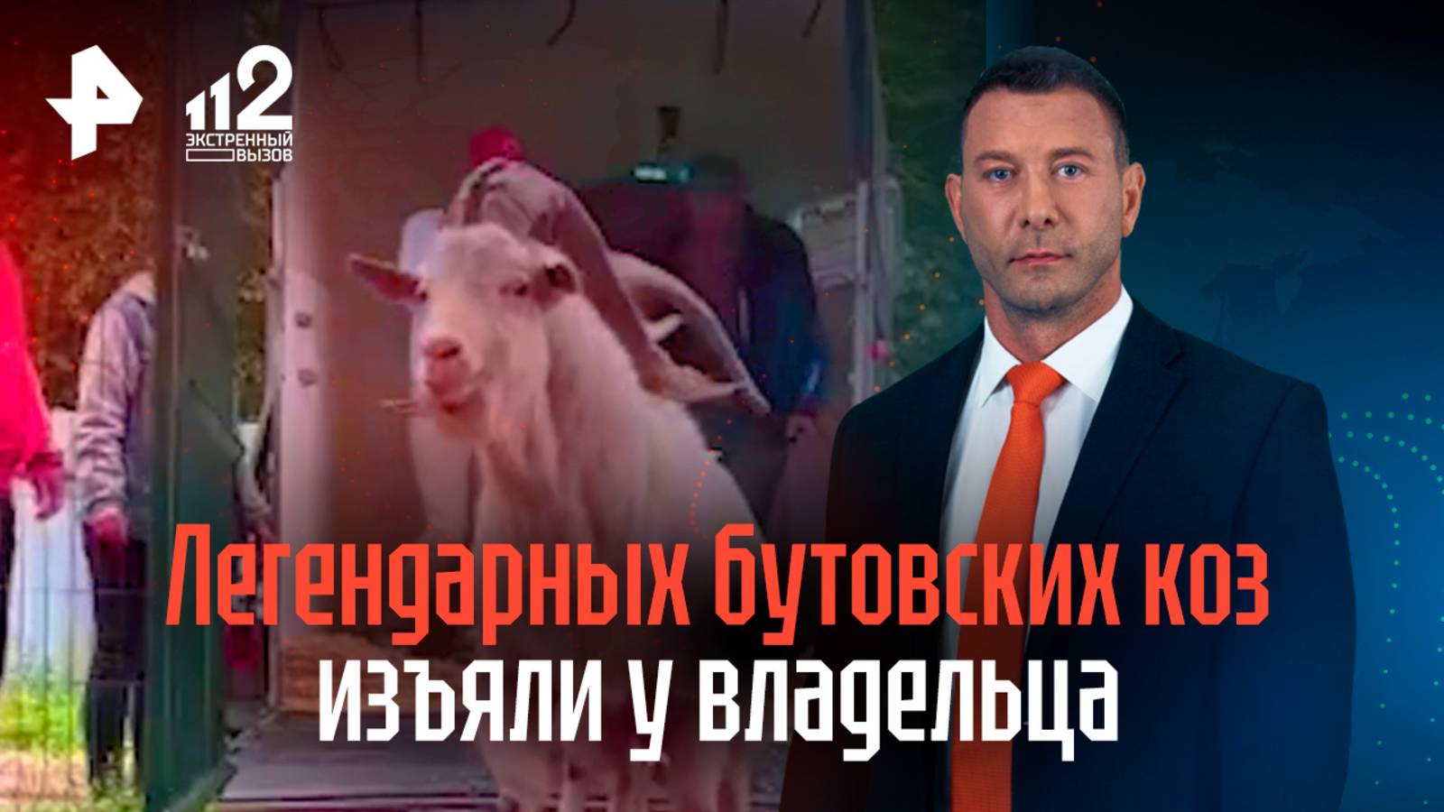 Бутовских коз изъяли у москвича: судьба «банды рогатых»