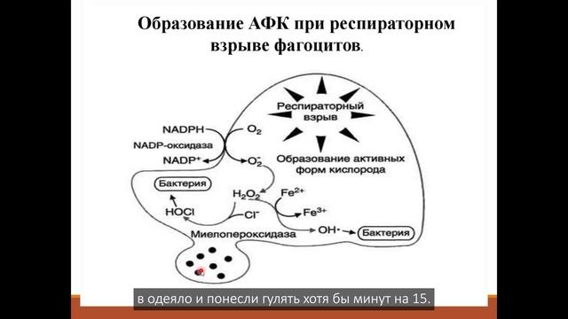 2.3 ОВР Хасина
