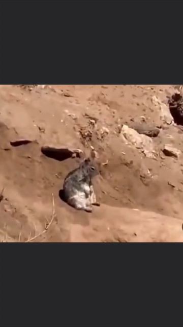 Последний день отпуска