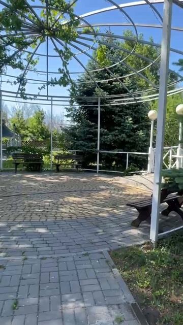instories_46AAA69B-3F8D-4390-ADFF-7C5CEE039E45