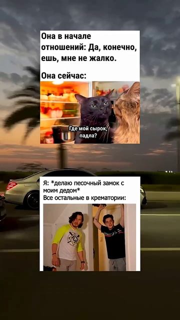 #мем #шуточное #memes #мемас
