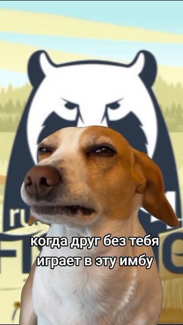 друг