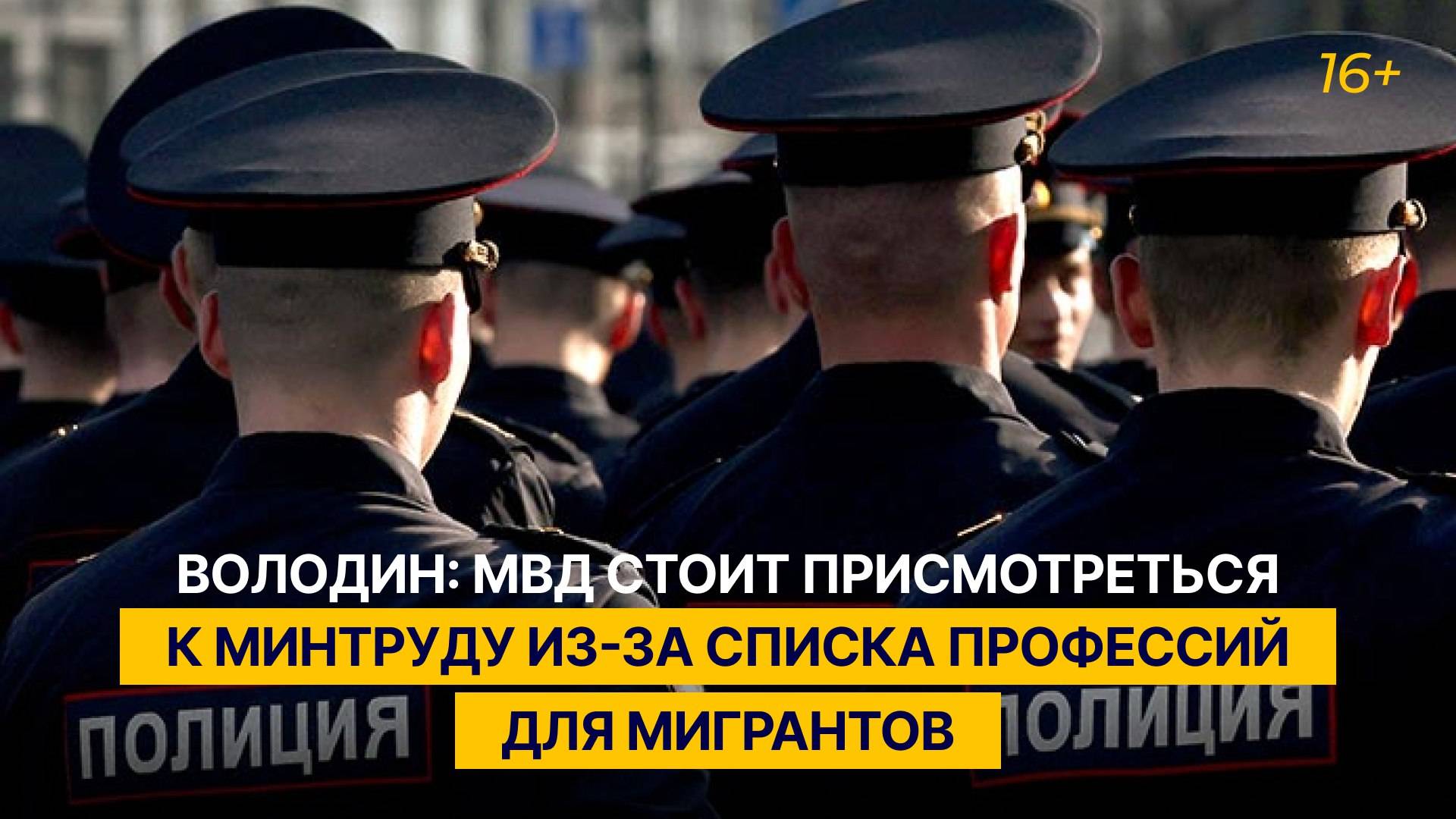 Володин: МВД стоит присмотреться к Минтруду из-за списка профессий для мигрантов