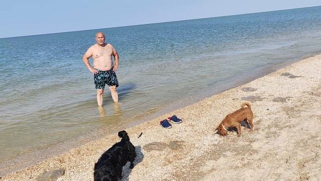 наконец то мы добрались, какое счастье