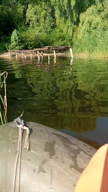 Прогулка на лодке по Усе.