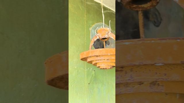затерянная во времени школа