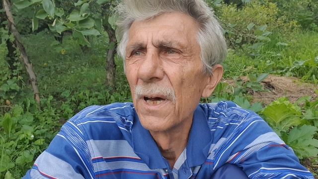 Мудрость в стихах.
