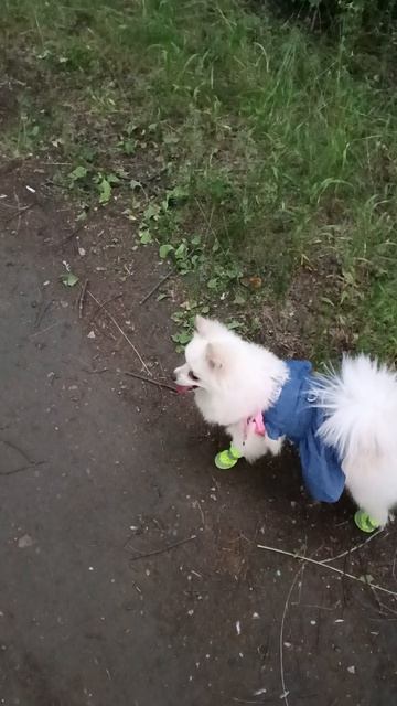 1000059959.mp4