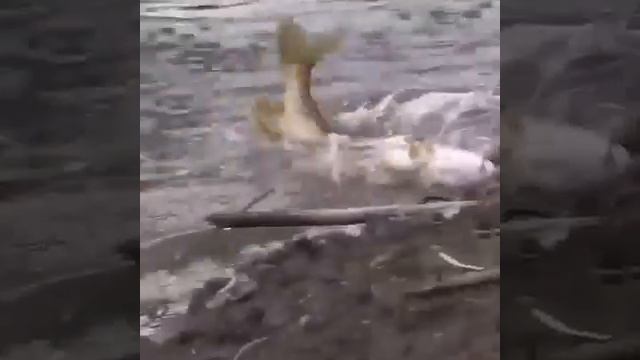 Малой на опыте 🔥