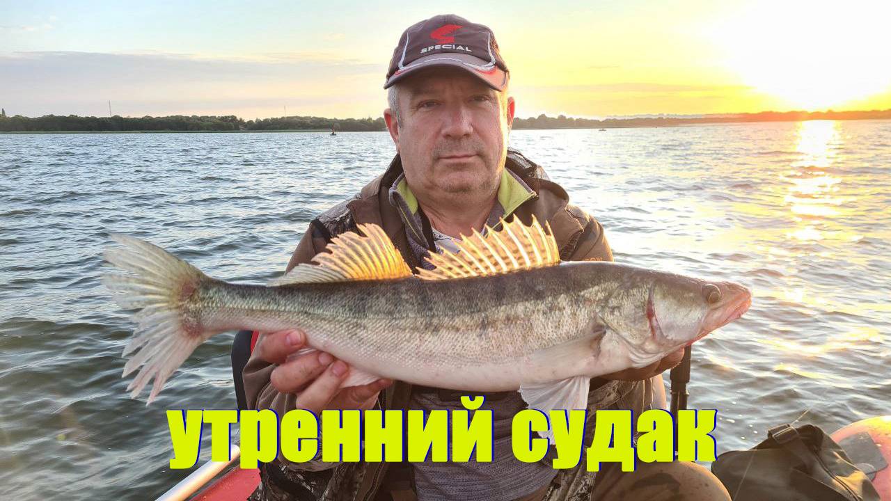 Судак утренний, не всегда хорошо