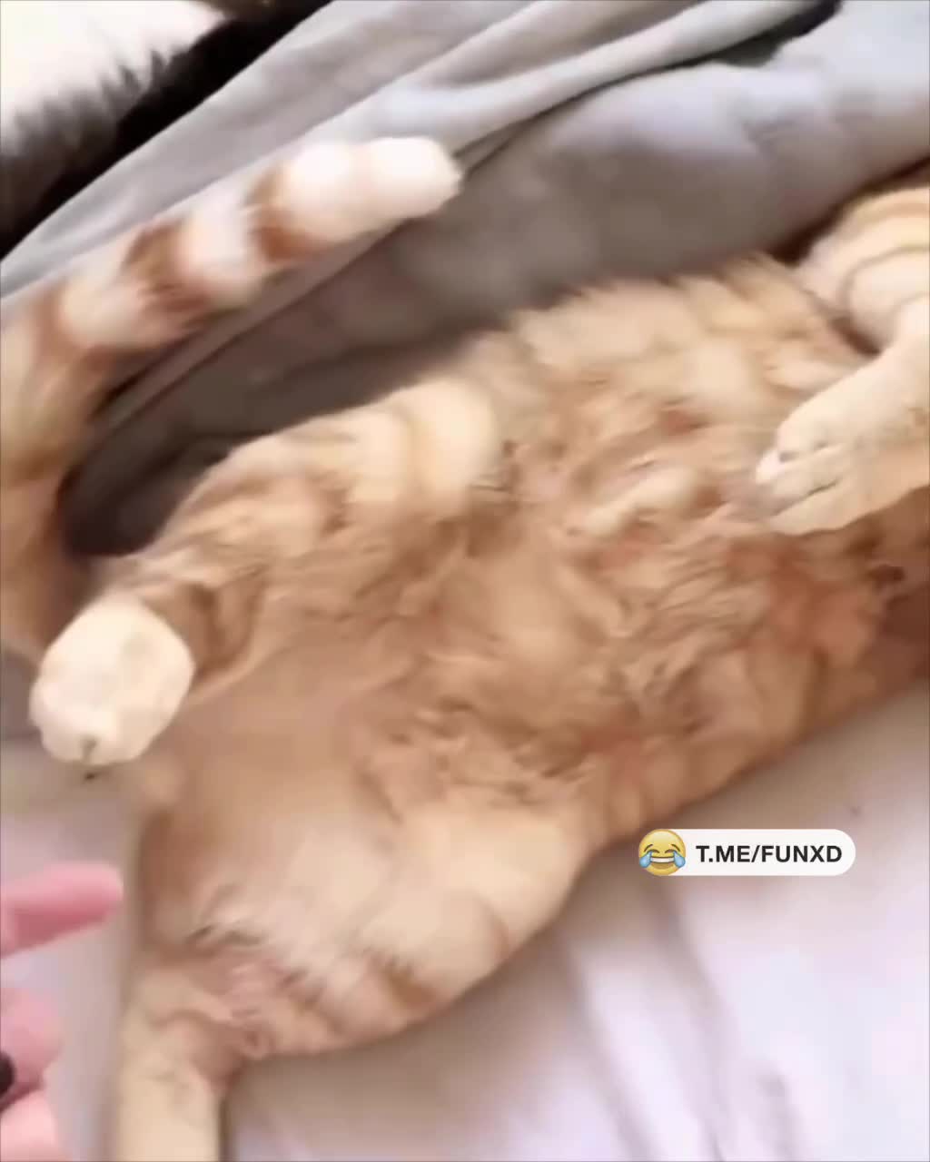 Доброе утро!😅