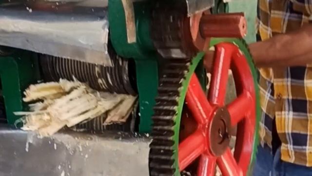 Моя добрая Индия. Гоа. Отель Алагоа.
