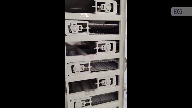 Конвейерная газовая сушилка ореха GRT-5x11