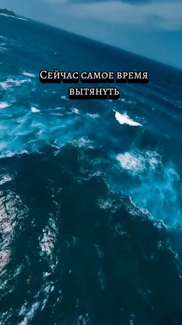 тенденции дня