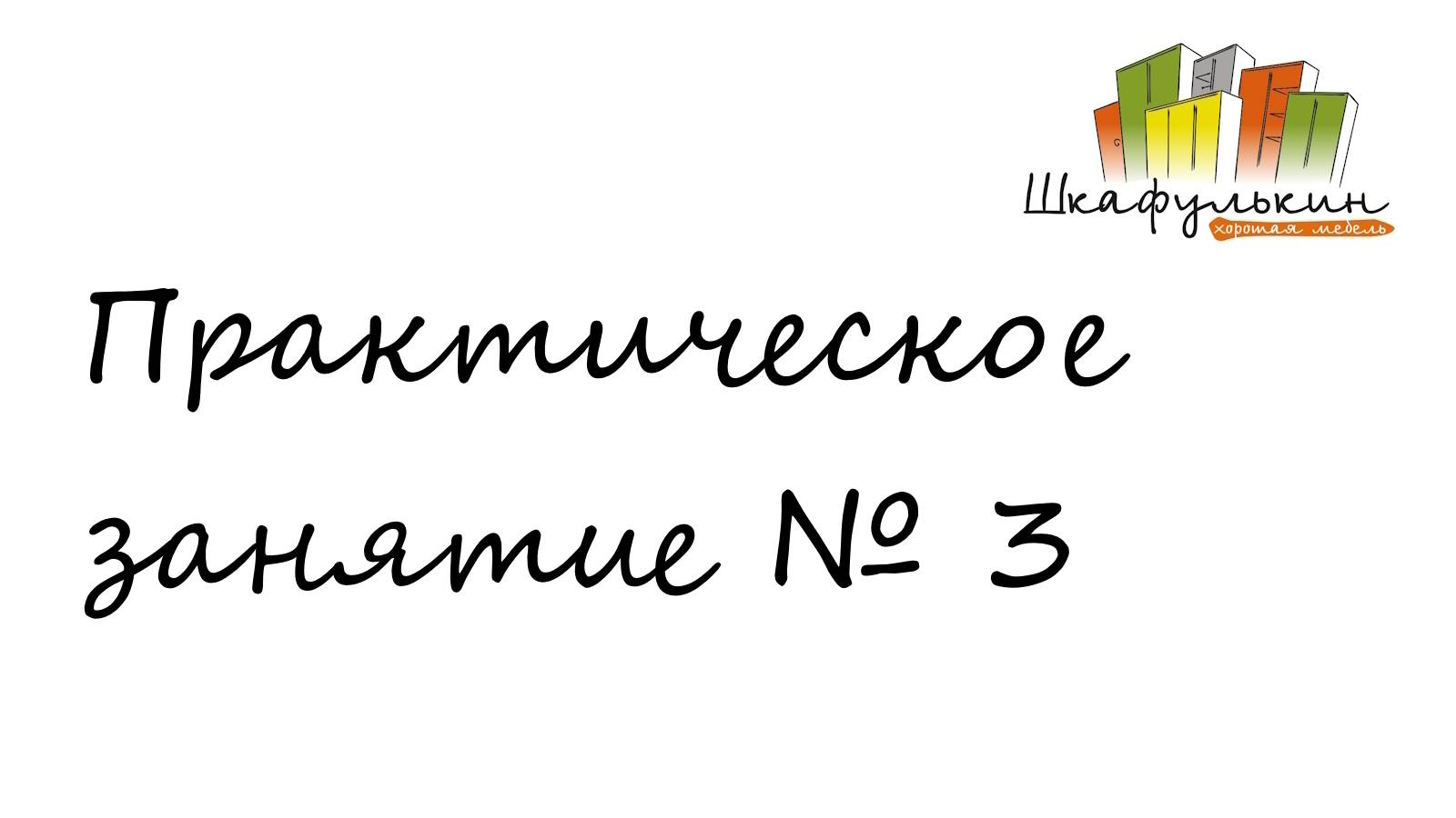 Практическое занятие №3